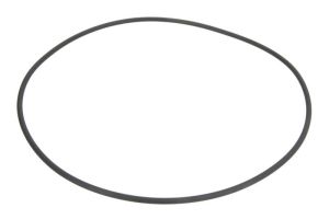 Oring 0501323506ZF