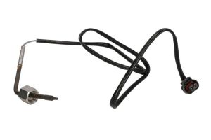 Czujnik temperatury spalin 172000539010