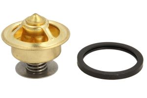 Termostat środka chłodzącego 18-43015