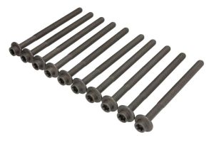 Zestaw śrub głowicy cylindrów 14-13249-01