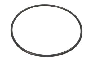 Oring 0634303345ZF