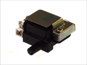 Cewka zapłonowa 060717022012