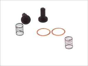 Filtr paliwa 2 447 010 011