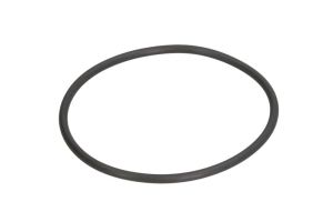 Oring 0634313574ZF