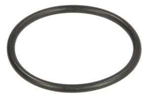 Uszczelka skrzyni biegów 0769151008ZF