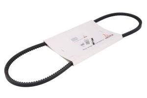 Pasek klinowy 01179566