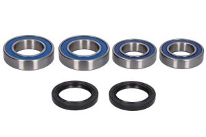 Zestaw łożyska koła 25-1809