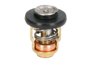 Termostat środka chłodzącego 18-3630