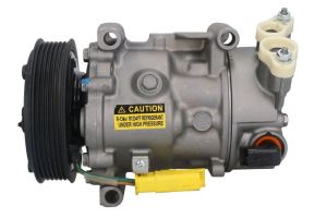 Kompresor klimatyzacji 10-5216