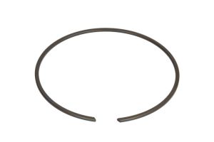 Pierścień zabezpieczający 0730513595ZF