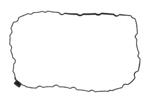 Uszczelka skrzyni biegów 0501321418ZF