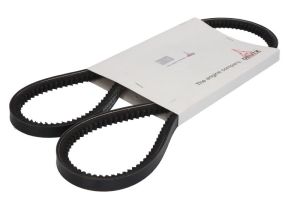 Pasek klinowy 01179673