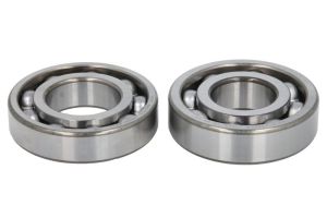 Zestaw naprawczy wału korbowego 24-1059