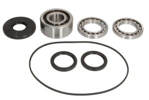 Zestaw naprawczy mechanizmu różnicowego 25-2116