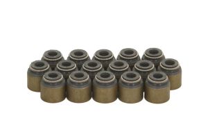 Zestaw uszczelniaczy trzonka zaworów 12-10031-01