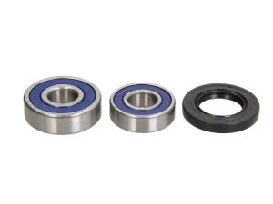 Zestaw łożyska koła 25-1244