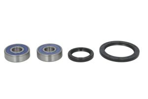 Zestaw łożyska koła 25-1585