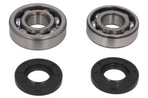 Zestaw naprawczy wału korbowego 24-1117