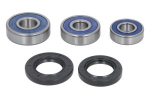 Zestaw łożyska koła 25-1603