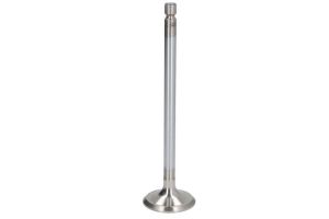 Zawór wydechowy 09 0520 ISB601