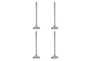 Zawór wydechowy 148020000300