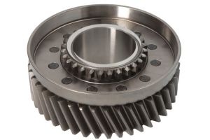 Koło zębate wałka głównego 196234