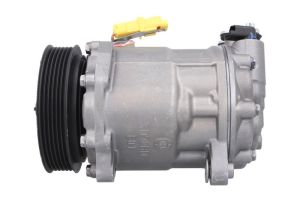 Kompresor klimatyzacji 10-1006