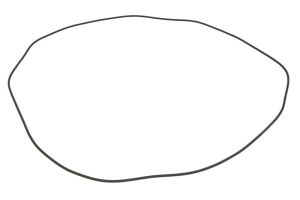 Uszczelniacz automatycznej skrzyni biegów 0634313840ZF