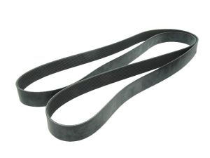 Pasek wieloklinowy 1.21896