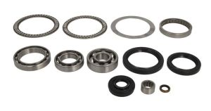 Zestaw naprawczy mechanizmu różnicowego 25-2066