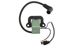 Cewka zapłonowa 18-5196