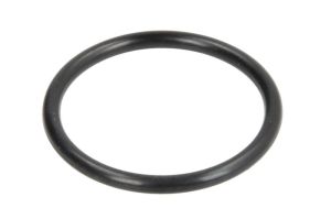 Oring 0501317046ZF