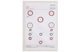 Zestaw naprawczy pompy hydraulicznej 1 527 010 448