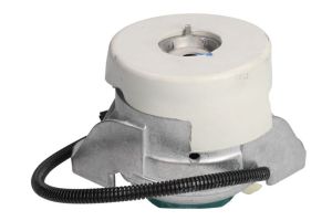 Poduszka silnika FE188262