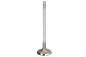 Zawór ssący 181123