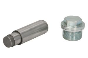 Napinacz łańcucha rozrządu SW40100004