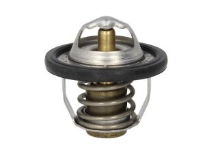 Termostat środka chłodzącego TMT-302