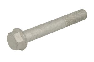 Śruba STR-M16X1,5/110