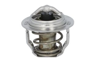 Termostat środka chłodzącego TMT-110