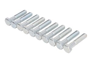 Śruba STR-M8X1,25/40