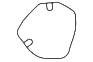 Uszczelka pokrywy alternatora S410250017057