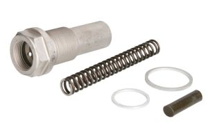 Napinacz łańcucha rozrządu SW10102100