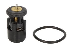 Termostat środka chłodzącego TX 41 87D