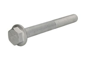 Śruba STR-M20X1,5/180