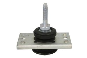 Poduszka silnika TEM026