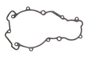 Uszczelka pokrywy alternatora S410270028027