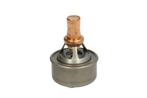 Termostat środka chłodzącego TH4495.83