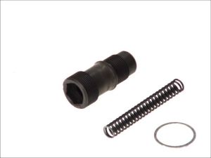 Napinacz łańcucha rozrządu SW10101400