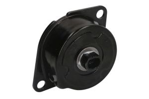 Napinacz paska wieloklinowego SW30930989