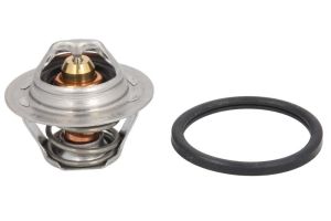 Termostat środka chłodzącego TH6047.89J